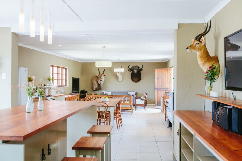 Bar Area